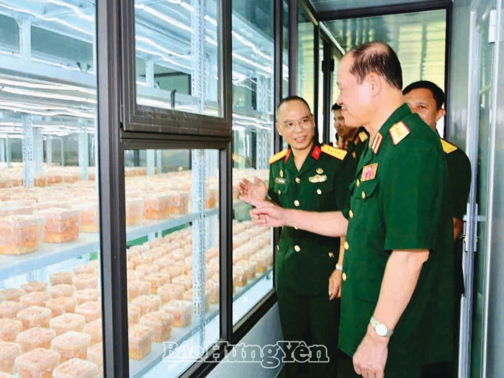 Cựu chiến binh làm kinh tế giỏi, giàu lòng nhân ái