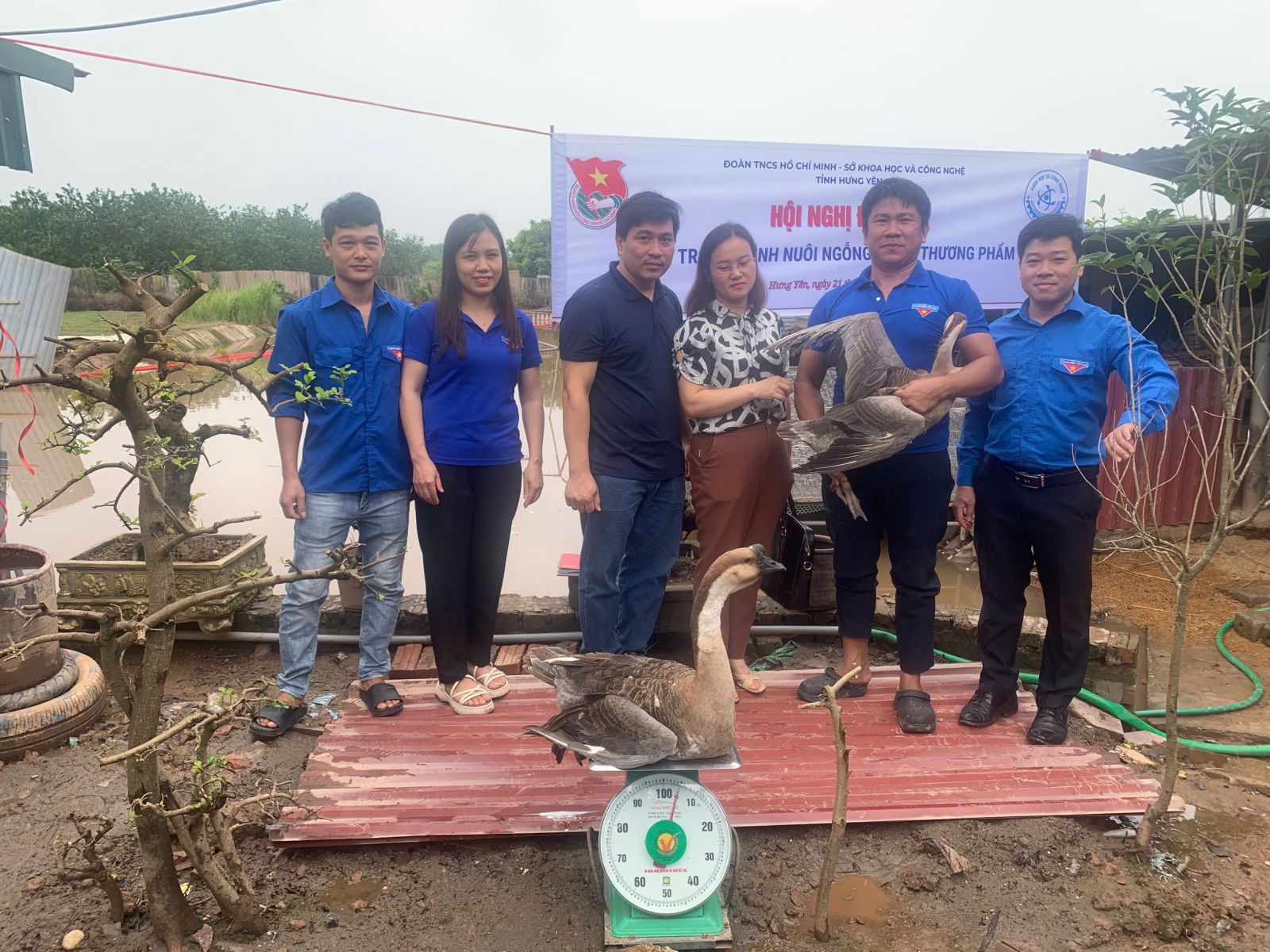 Hoạt động Hỗ trợ Mô hình nuôi Ngỗng sư tử Thương phẩm cho đoàn viên thanh niên năm 2024