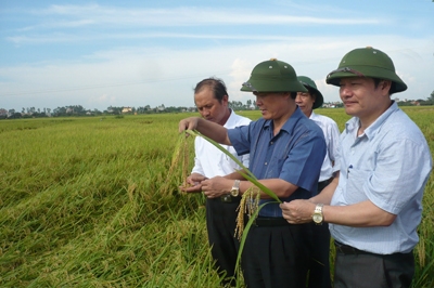 Chủ tịch UBND tỉnh Nguyễn Văn Thông  kiểm tra sản xuất nông nghiệp