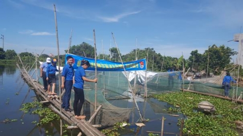 Tỉnh Đoàn tổ chức Hội thảo đầu bờ mô hình nuôi ếch thịt Thái Lan tại xã Liên Phương
