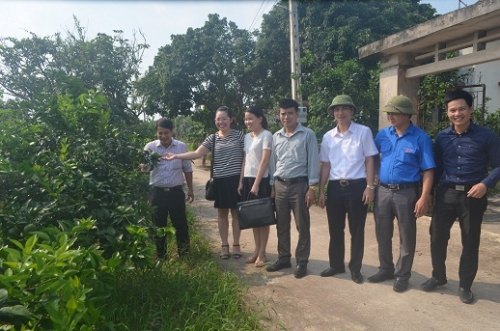 Tỉnh Đoàn chuyển giao khoa học kỹ thuật trồng Cam tại xã Tam Đa