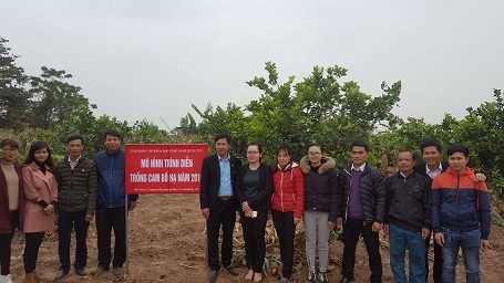 Tỉnh Đoàn tổ chức Hội nghị kiểm tra tiến độ mô hình trồng Cam Bố Hạ tại xã Nguyên Hòa